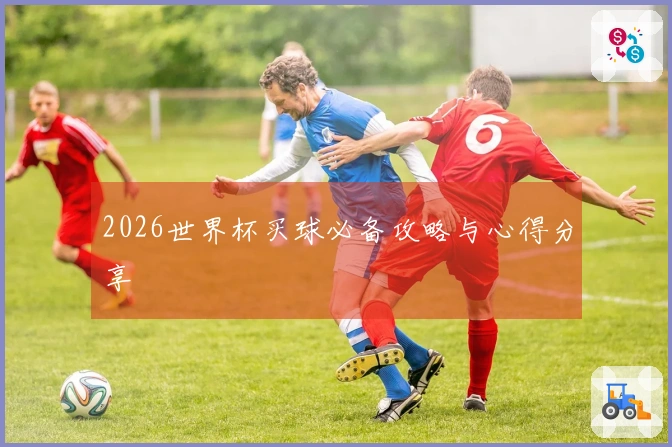2026世界杯买球必备攻略与心得分享