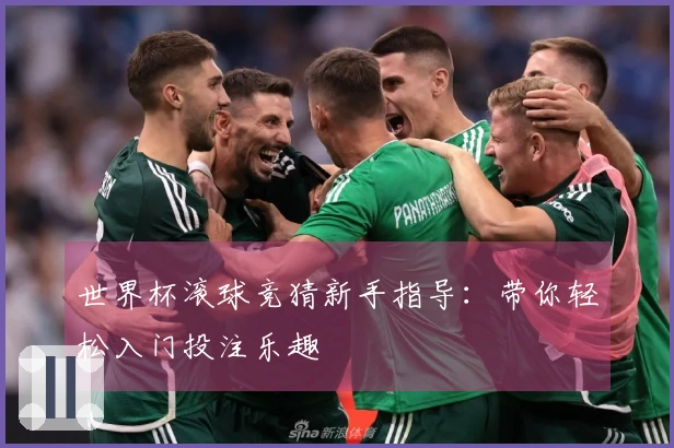 世界杯滚球竞猜新手指导：带你轻松入门投注乐趣