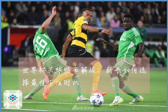 世界杯买球赔率解读：新手如何选择最佳下注时机