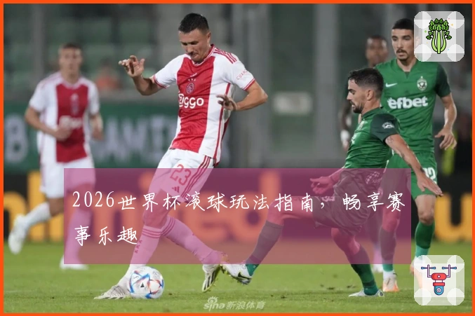 2026世界杯滚球玩法指南，畅享赛事乐趣