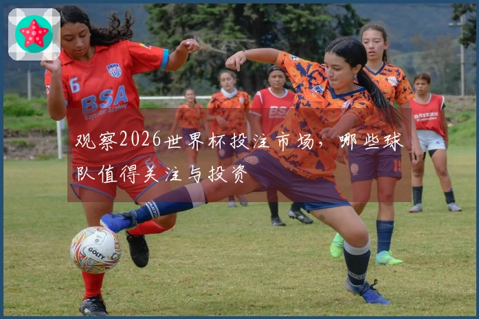观察2026世界杯投注市场，哪些球队值得关注与投资