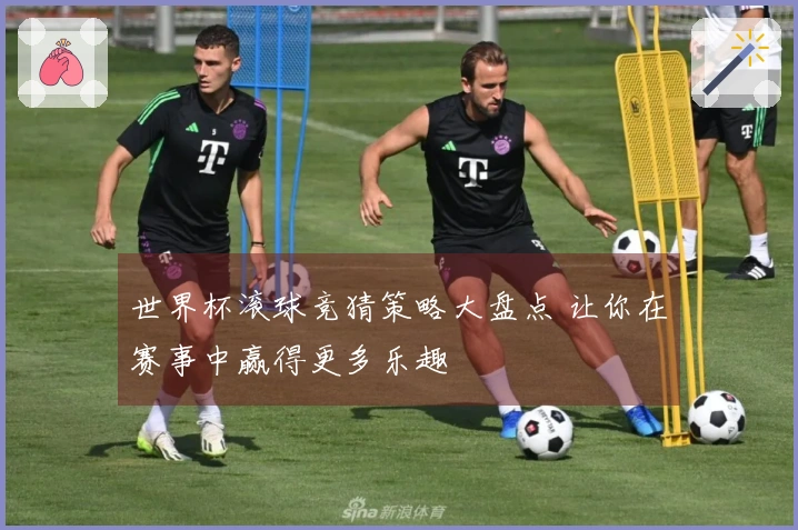 世界杯滚球竞猜策略大盘点 让你在赛事中赢得更多乐趣