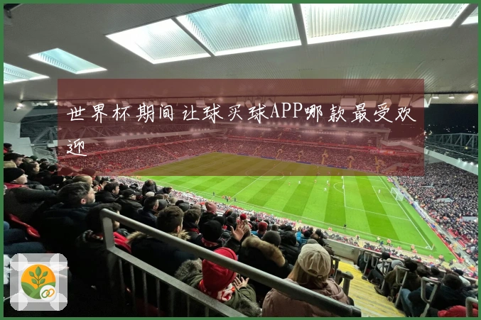 世界杯期间让球买球APP哪款最受欢迎
