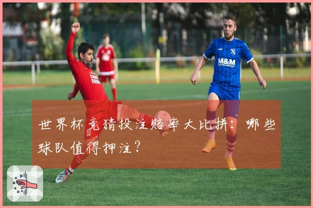 世界杯竞猜投注赔率大比拼：哪些球队值得押注？