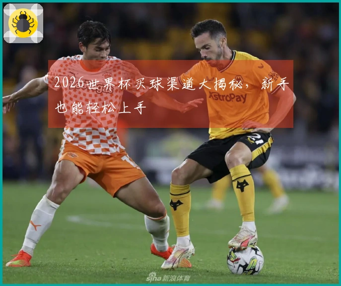 2026世界杯买球渠道大揭秘，新手也能轻松上手