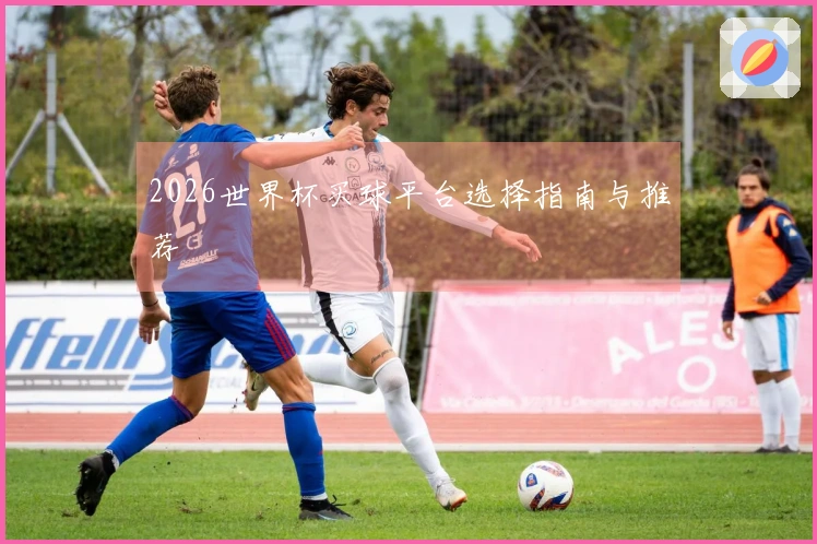 2026世界杯买球平台选择指南与推荐