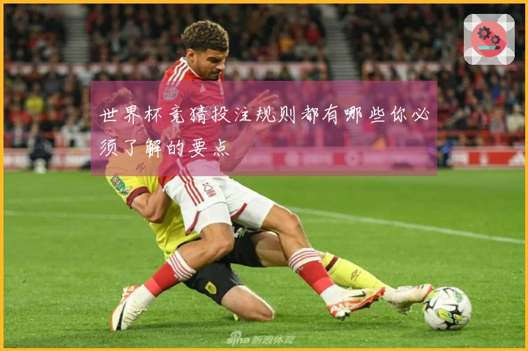 世界杯竞猜投注规则都有哪些你必须了解的要点